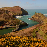 Buy canvas prints of Boscastle, Cornwall by David Neighbour