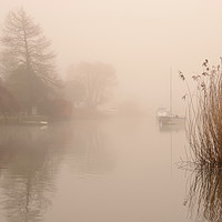 Buy canvas prints of River Frome Mist by David Neighbour