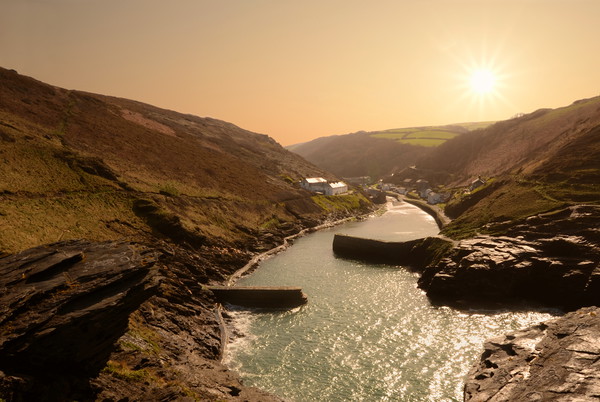 Morning at Boscastle Picture Board by David Neighbour