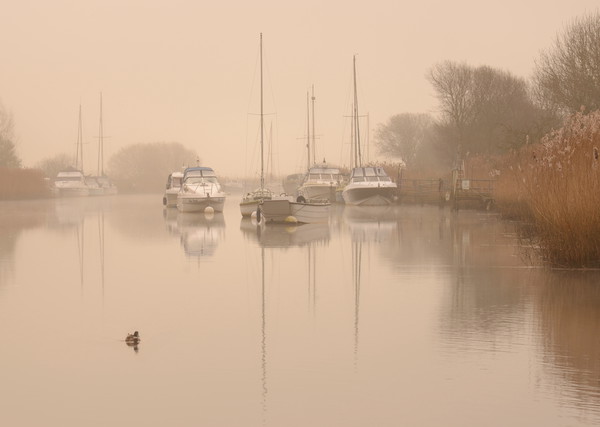 Wareham Quay Mist Picture Board by David Neighbour