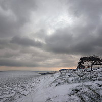 Buy canvas prints of Winter at Quarry Hill by David Neighbour