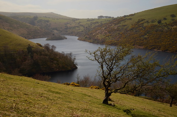 Meldon Reservoir Picture Board by David Neighbour