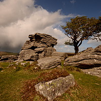 Buy canvas prints of The Tree and the Tor by David Neighbour