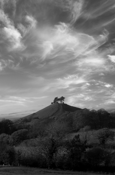Colmer's Hill Black and White Picture Board by David Neighbour