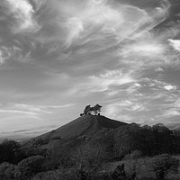 Buy canvas prints of Colmer's Hill Black and White by David Neighbour