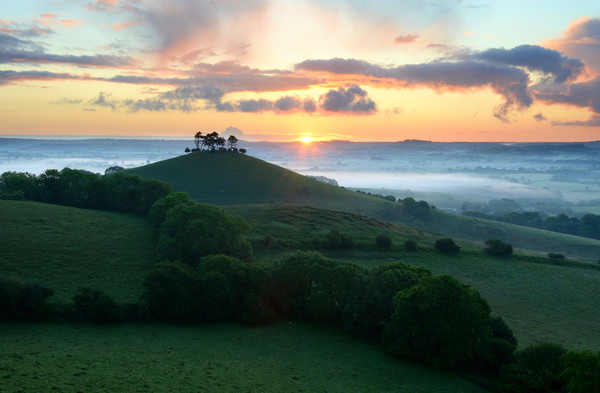 Colmer's Summer Sunrise Picture Board by David Neighbour