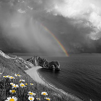 Buy canvas prints of Daisies and Rainbows by David Neighbour
