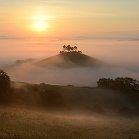 Buy canvas prints of Misty Morning in Dorset by David Neighbour