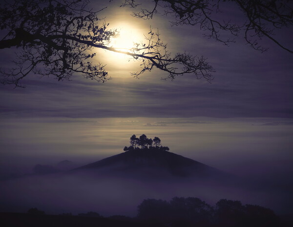 Moonlit Mists Picture Board by David Neighbour
