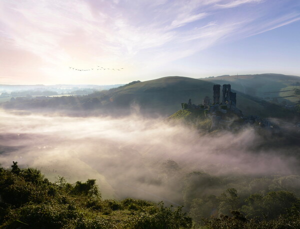 Fresh New Day at Corfe Castle Picture Board by David Neighbour
