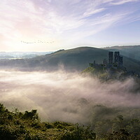 Buy canvas prints of Fresh New Day at Corfe Castle by David Neighbour