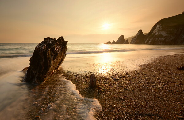 Westcombe Bay Sunset Picture Board by David Neighbour