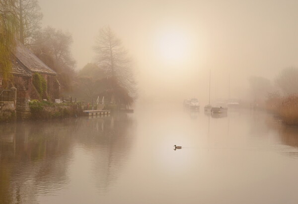 Misty Quay Picture Board by David Neighbour