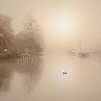 Buy canvas prints of Misty Quay by David Neighbour