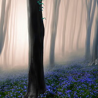 Buy canvas prints of Mystical Misty Woods by David Neighbour