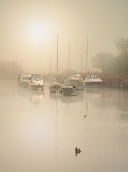 Wareham Tranquility Picture Board by David Neighbour