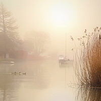 Buy canvas prints of Wareham Mists Landscape Crop by David Neighbour