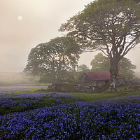 Buy canvas prints of Diffused Dartmoor by David Neighbour