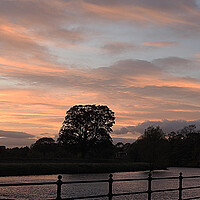 Buy canvas prints of Sunset over the River Tees by Pauline Raine
