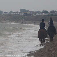 Buy canvas prints of horses on the Beach in colour by Matthew Balls