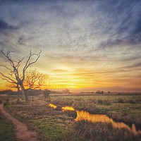 Buy canvas prints of Lovely Suffolk Sunset by Matthew Balls
