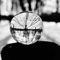 Buy canvas prints of     Winter Trees in a Glass Ball by Matthew Balls