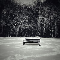 Buy canvas prints of A Place to Sit in the Snow by Matthew Balls