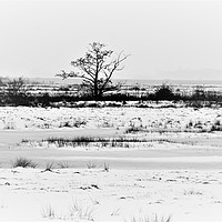 Buy canvas prints of                                A Winter White Out by Matthew Balls