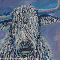 Buy canvas prints of Purple Cow by Matthew Balls