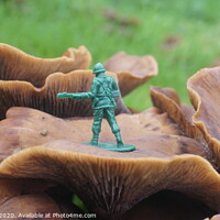 Buy canvas prints of Toy soldier by Matthew Balls