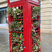 Buy canvas prints of Red Telephone Box of Flowers by Ailsa Darragh