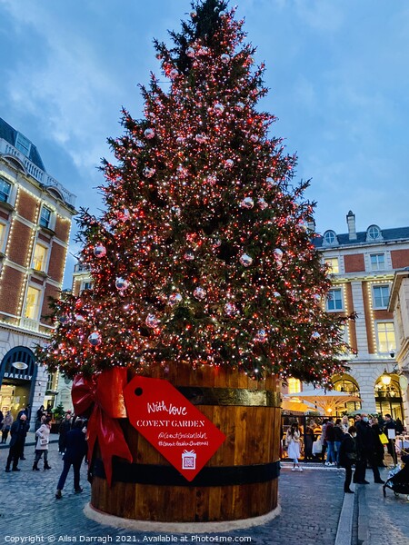 Covent Garden Christmas Tree, London Picture Board by Ailsa Darragh