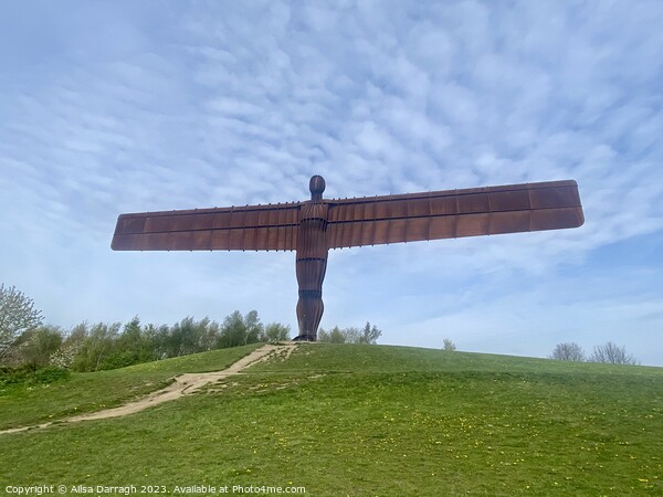 The Angel of the North Picture Board by Ailsa Darragh
