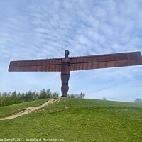 Buy canvas prints of The Angel of the North by Ailsa Darragh