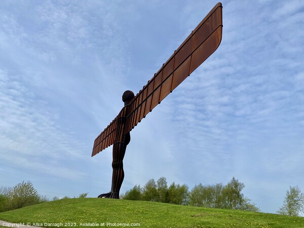 The Angel of the North Statue Picture Board by Ailsa Darragh