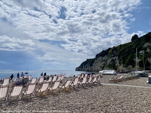 A view of deckchairs on Beer beach, Devon Picture Board by Ailsa Darragh