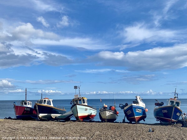 Fishing boats on Beer beach, Devon Picture Board by Ailsa Darragh