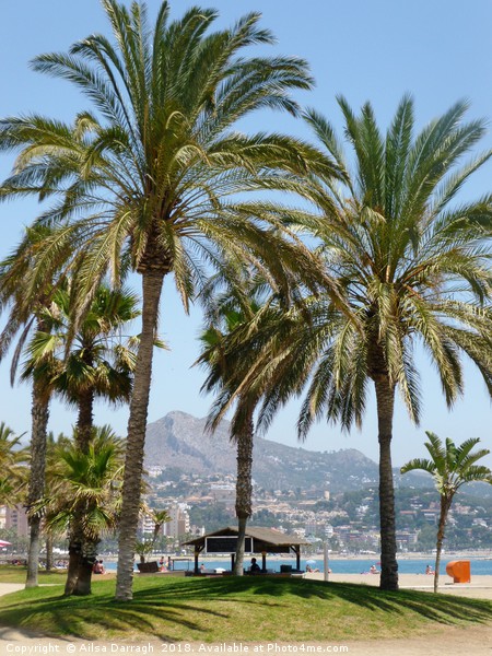 Malaga Beach Island View, Costa del Sol Picture Board by Ailsa Darragh