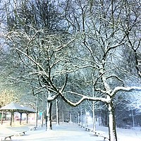 Buy canvas prints of  Bremen Winter Snow Scene, Germany by Ailsa Darragh