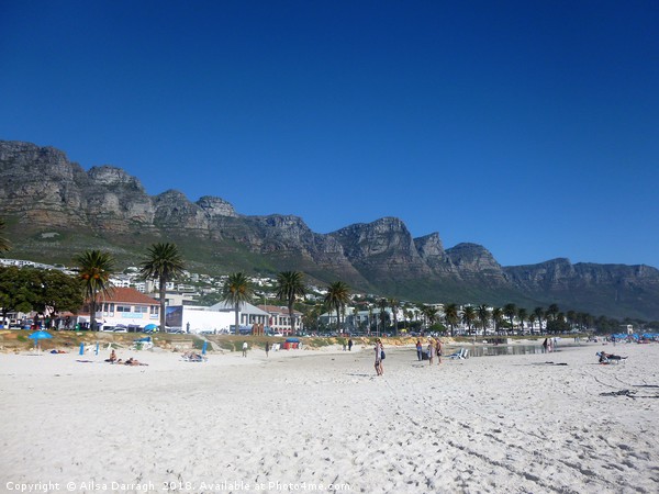 Twelve Apostles Beach view in Cape Town Picture Board by Ailsa Darragh