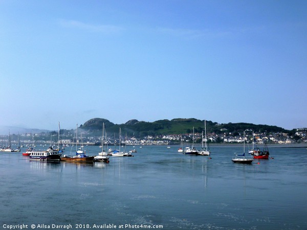 Conwy Harbour View, Wales Picture Board by Ailsa Darragh