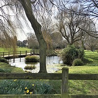 Buy canvas prints of Chalkwell Park in the Spring by Ailsa Darragh