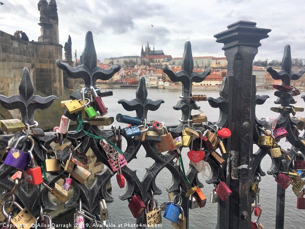 Prague Charles Bridge View Picture Board by Ailsa Darragh