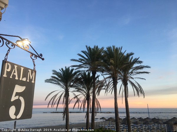 Palm Trees at Sunset in Benalmadena Picture Board by Ailsa Darragh