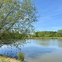 Buy canvas prints of The lake at Cherry Orchard Country Park by Ailsa Darragh