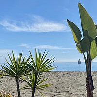 Buy canvas prints of Torre Del Mar Beach view by Ailsa Darragh