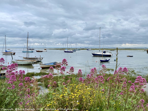  Boats in Old Leigh, Leigh on Sea Picture Board by Ailsa Darragh