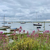 Buy canvas prints of  Boats in Old Leigh, Leigh on Sea by Ailsa Darragh