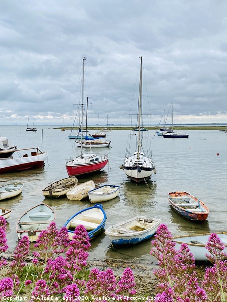 Leigh on Sea Boats in Harbour  Picture Board by Ailsa Darragh