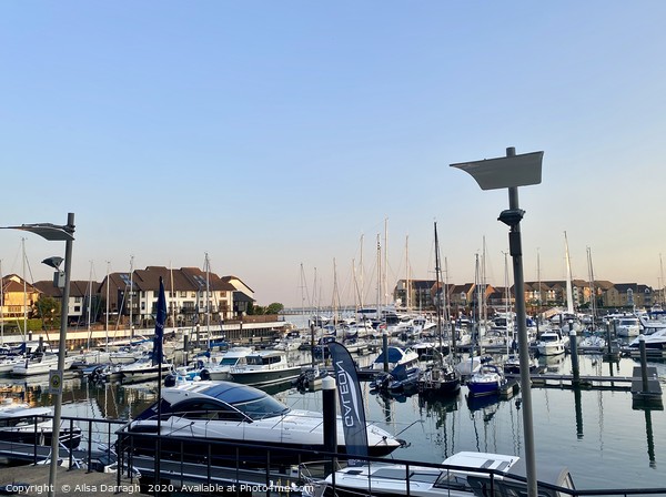 Southampton Ocean Village Marina at sunset Picture Board by Ailsa Darragh